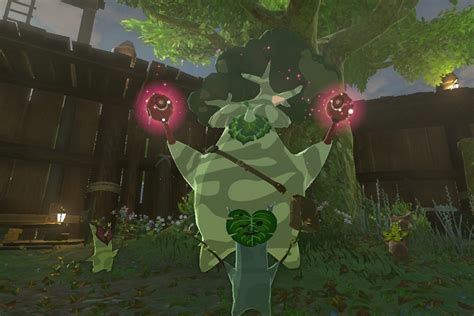 tears of the kingdom korok seed